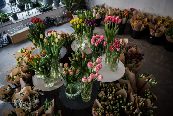 Tulipánvásáron ismerkedtünk a szezon kedvenc virágával