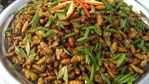 10 bizarr étel Indiából: selyemhernyótól a kutyahúsig