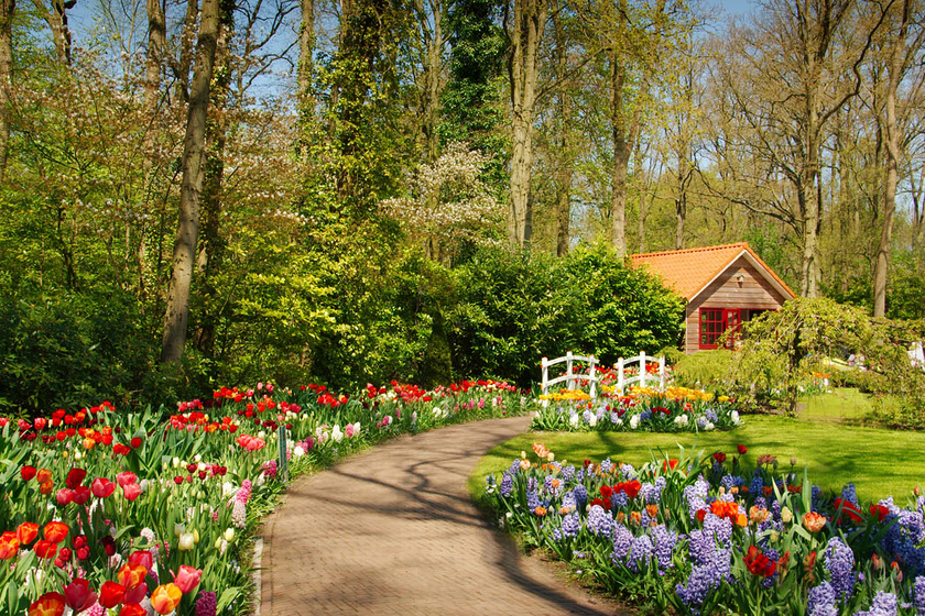 Itt nyílnak a legszebb tulipánok egész Európában: képeken a tavaszi csoda