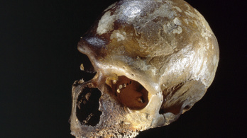 Izgalmas dolgok derültek ki a neandervölgyi emberről