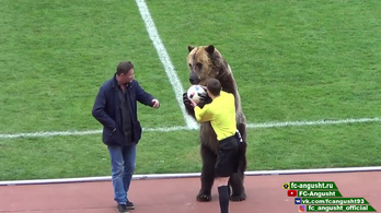 Csak Oroszországban: betanított medve adja át a meccslabdát a bírónak