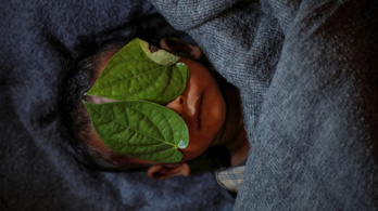 Pulitzer-díj: a rohingja népirtás kitörölhetetlen képei