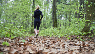 Miért megy egy svájci nő sötétedéskor egyedül az erdőbe?
