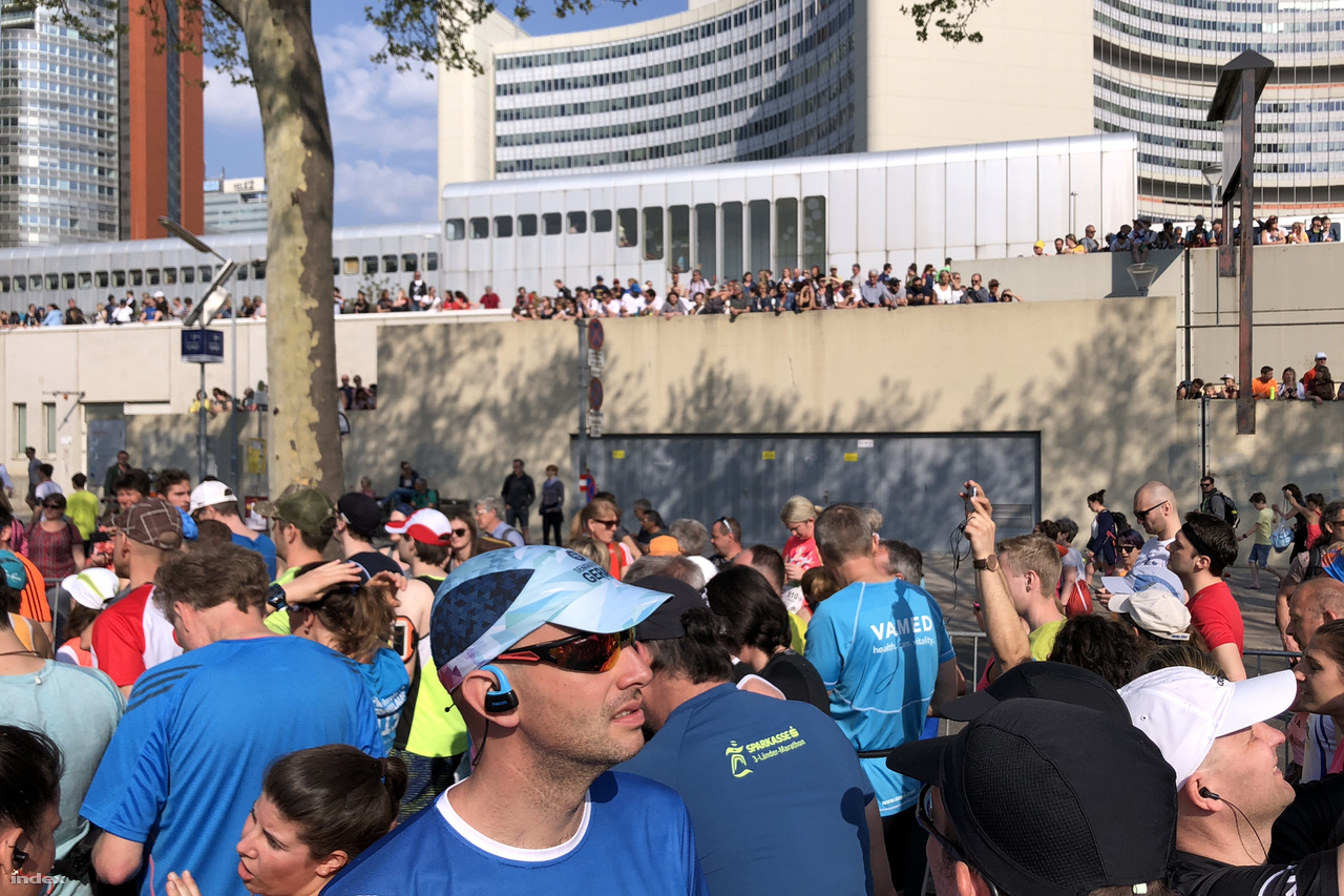 A 35. Vienna City Marathon a Kaiserwasser-öböl mellől, az ENSZ-központtól indult. A startnál irgalmatlan tömeg volt.