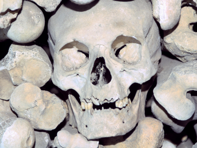 Emberi koponyákat, macsétát és állathúst találtak a utahi papnál