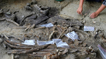 Egy 700 ezer éves orrszarvúlakoma írja át az emberi vándorlások történetét
