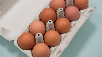 Több mint 20 százalékkal drágult a tojás egy év alatt