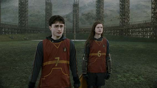 A Harry Potter-élmény komoly gerincsérülésekkel ért véget