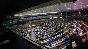 Az EP oktatási bizottsága is indítaná a hetes cikket Magyarország ellen