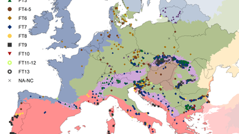 Íme Európa utolsó őserdeinek térképe