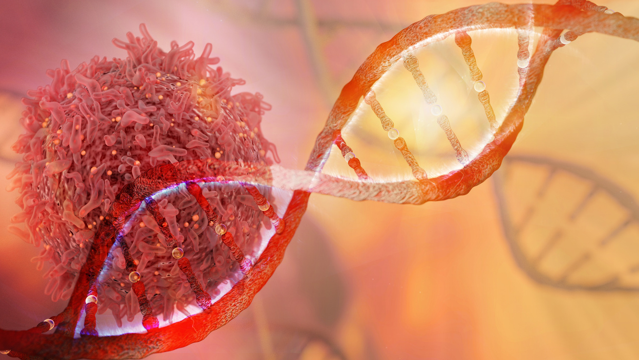 Milyen típusai ismertek a rákkal összefüggő genetikai hibáknak?