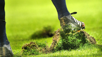 A holland futballban a fűre esküsznek