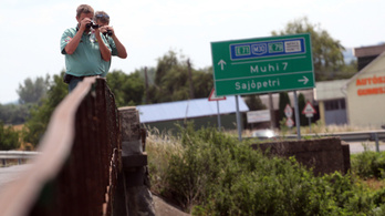 M1: Akár négy-öt medve is kóborolhat Észak-Magyarországon