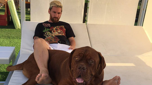 10 tény Lionel Messiről, amit ön vagy tudott vagy nem
