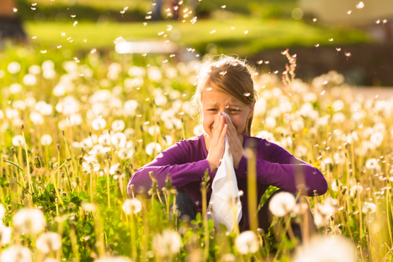 Allergia ellen a takarítás az első! Így csináld, hogy megúszd a tüneteket!