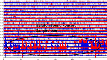 Mini földrengést okozott a Balaton Sound