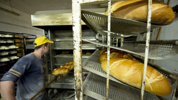 A kenyér árának utol kellene érnie Nyugat-Európát