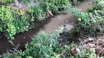 Szennyvíz ömlött egy patakba Nagytarcsán
