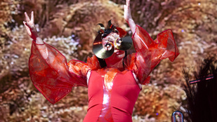 Félelem és rettegés a Björk-koncerteken