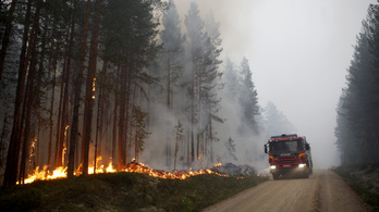 Több mint 20 ezer hektáron pusztítanak erdőtüzek Svédországban