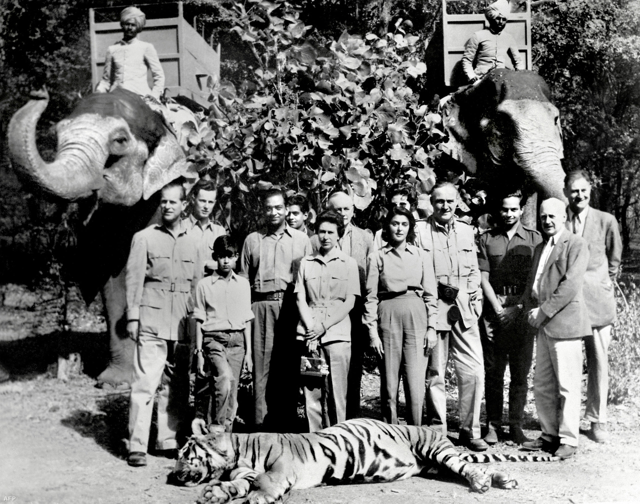 A királynő és férje 1961-es dzsaipuri látogatásán. A kép előterében fekvő tigrist Fülöp herceg lőtte le egy vadászaton.