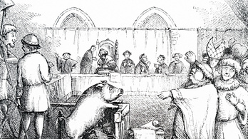 A középkorban állatoknak is járt ügyvéd és bírósági tárgyalás