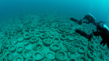 Így nem lett a használt autógumi a korallzátonyok megmentője