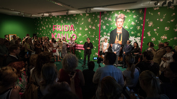 A mexikói nagykövet szerint Frida Kahlo elsősorban művész volt