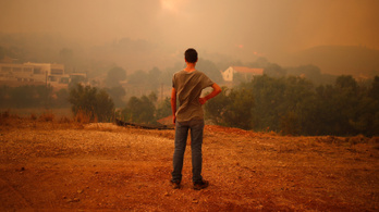27 ezer hektáron teljesen leégett az erdő a portugál tűzben