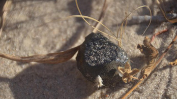 Megtalálták a júniusban becsapódott meteorit egyik darabkáját