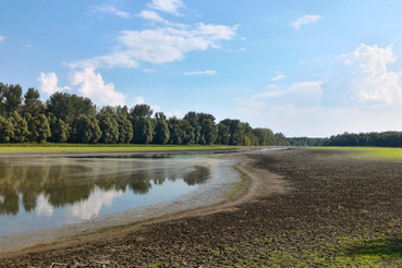 A Duna rézéti ága