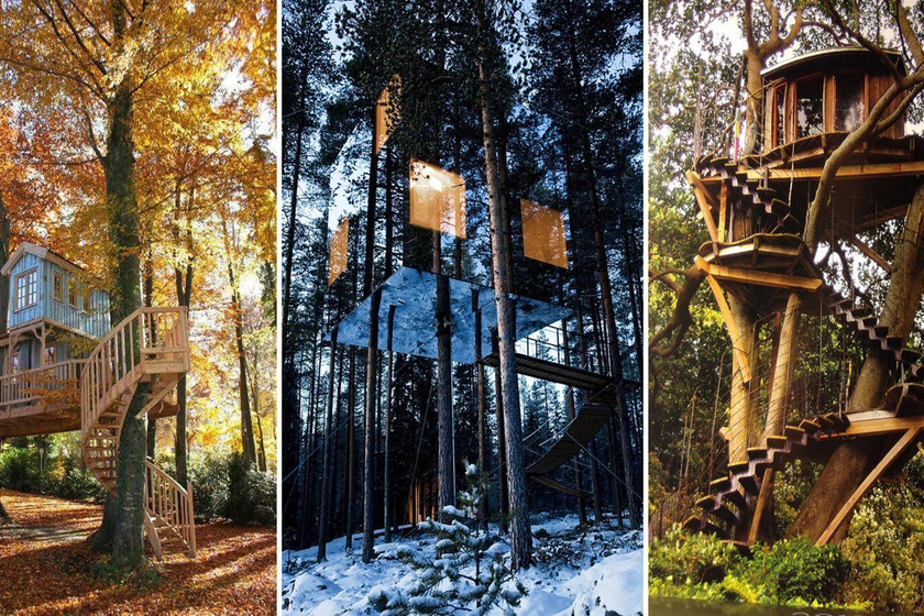 Milyen lehet egy fa tetején lakni? A 11 legszebb lombhotel, amit valaha láttunk