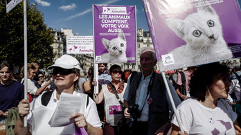 Több ezren vonultak utcára Franciaországban a klímaváltozás ellen