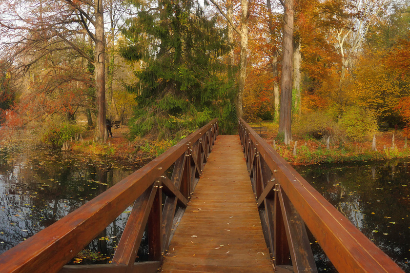 10 lélegzetelállítóan szép arborétum, amit ősszel látni kell: pompás fák alatt sétálhatsz