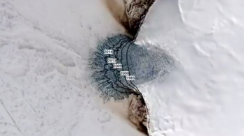 Drámaian felgyorsult a Vavilov-jégsapka olvadása