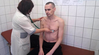 Közel öt hónap után feladta az éhségsztrájkot az ukrán rendező