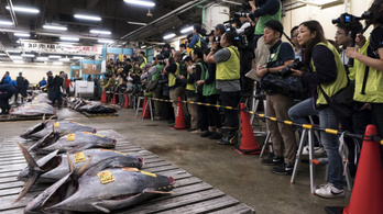 Bezárt a világ legnagyobb halpiaca, a japán Cukidzsi