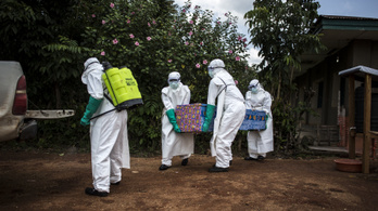 Újra itt az ebola, egy ENSZ-alkalmazott is megfertőződött