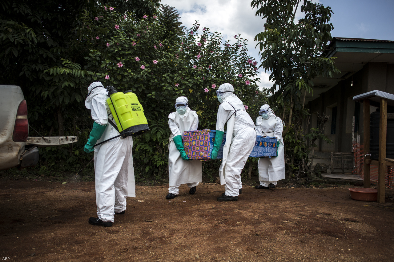 Egészségügyi dolgozók szállítják el egy ebolagyanús beteg holttestét.Ez a 10. járvány, mióta 1976-ban felfedezték az ebolát a Kongói Demokratikus Köztársaság területén. Idén már volt év elején egy másik járvány is, abban 33-an haltak meg, de három hónap alatt sikerült megfékezni a gyors nemzetközi fellépésnek köszönhetően. Augusztus óta több mint 27 ezer embert oltottak be a hivatalosan még mindig kísérleti, de hatékonynak bizonyuló vakcinával, ezzel sikerült lassítani a betegség terjedését.
