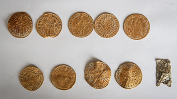 Aranypénzek és régi fegyverek kerültek elő a megapadt Dunából Érdnél