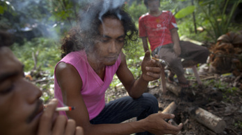 Thaiföld lehet az első ázsiai ország, ahol legalizálják az orvosi marihuánát