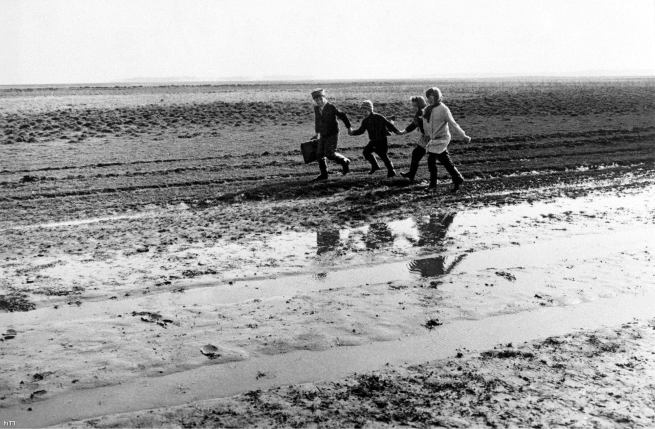 Sáros szántóföldön gyalogló diákok.  A felvétel készítésének pontos helyszíne ismeretlen. (1969)