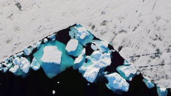 Ha a grönlandi jég elolvad, akkor elég nagy bajban leszünk