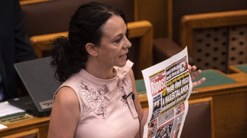 Kormánypárti cikk uszítása is előjött a parlamenti ülésen
