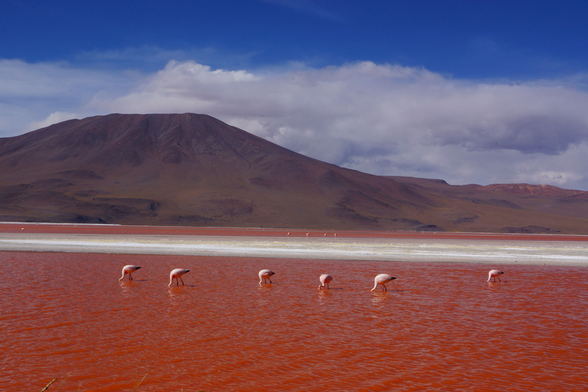 10 megdöbbentő színű tó a világon: itt nem szívesen mártóznánk meg