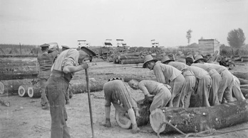Az első világháborúban 140 ezer kínai vendégmunkás ásta a lövészárkokat