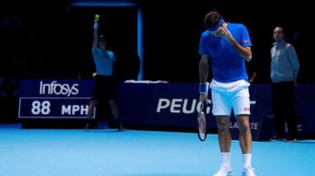 Egy labdaszedő segített legyőzni Federert a vb-elődöntőben