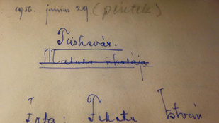 Tízszeres áron ment el a Tüskevár eredeti kézirata