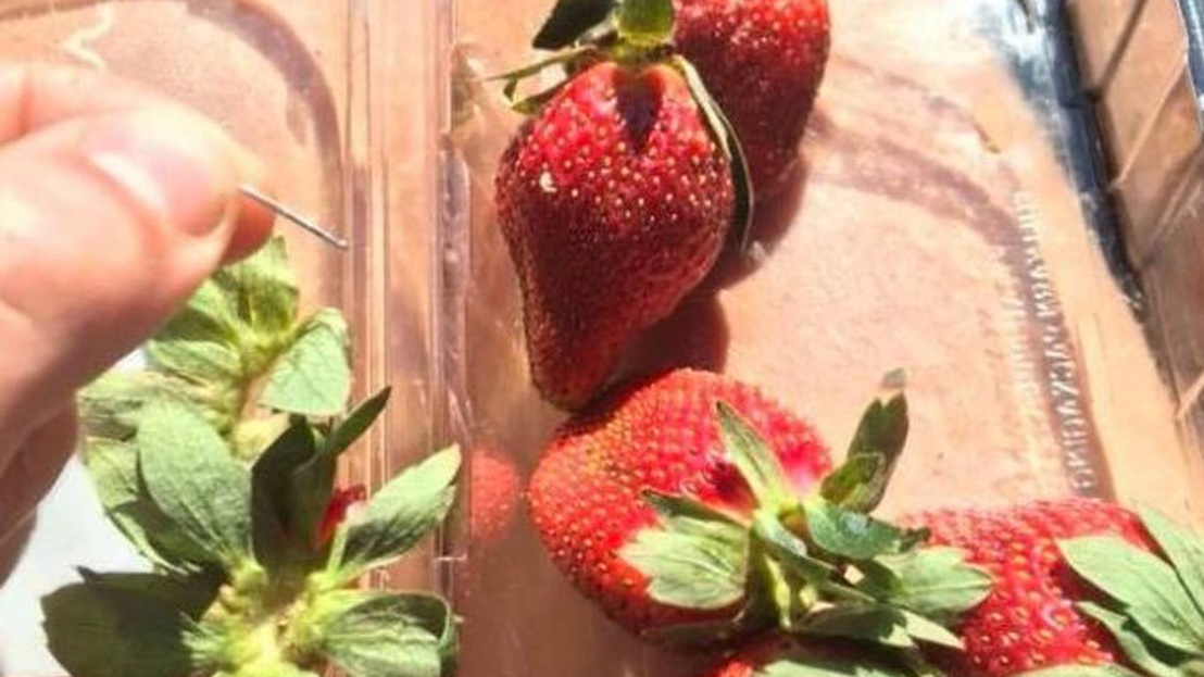 strawberries-1