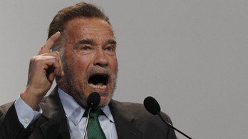 Schwarzenegger lehülyézte Trumpot